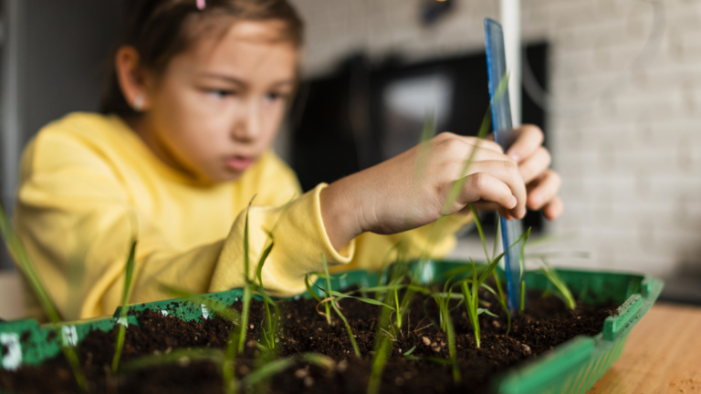 The Transformative Power of Planting Activities
