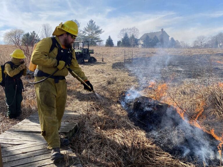 Prescribed burns part of conservation, nature’s cycle